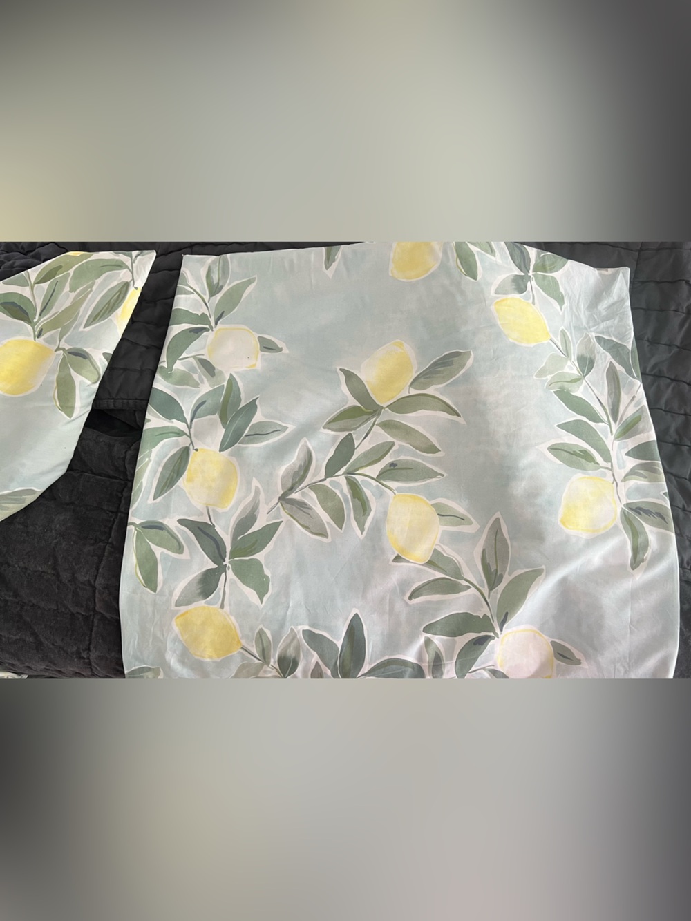 Set/2 Pottery Barn Rebecca Atwood reversible  lemon Euro Shams